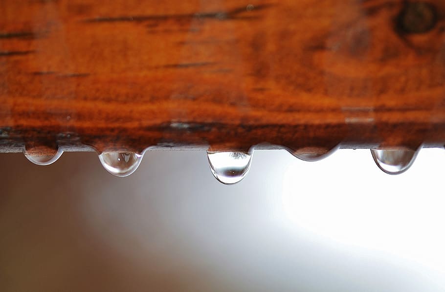 Macro, Background, Drop, Water, Drops, water drops, drop of water HD wallpaper