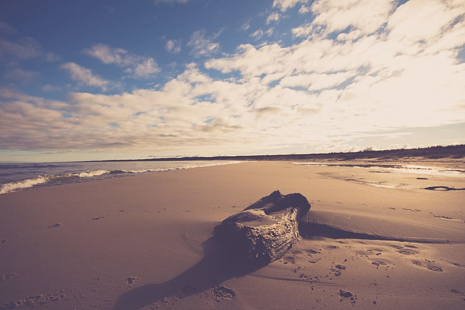 Brown Wood Log on Sand Near Seashore, beach, clouds, dawn, dusk HD wallpaper