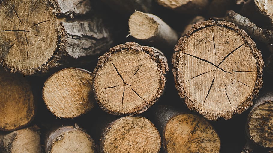 closeup photo of wood logs, selective focus photography of pile of logs, HD wallpaper