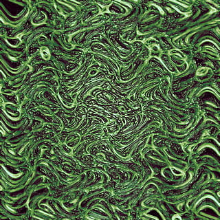background, texture, organic, pattern, an alien, structure HD wallpaper