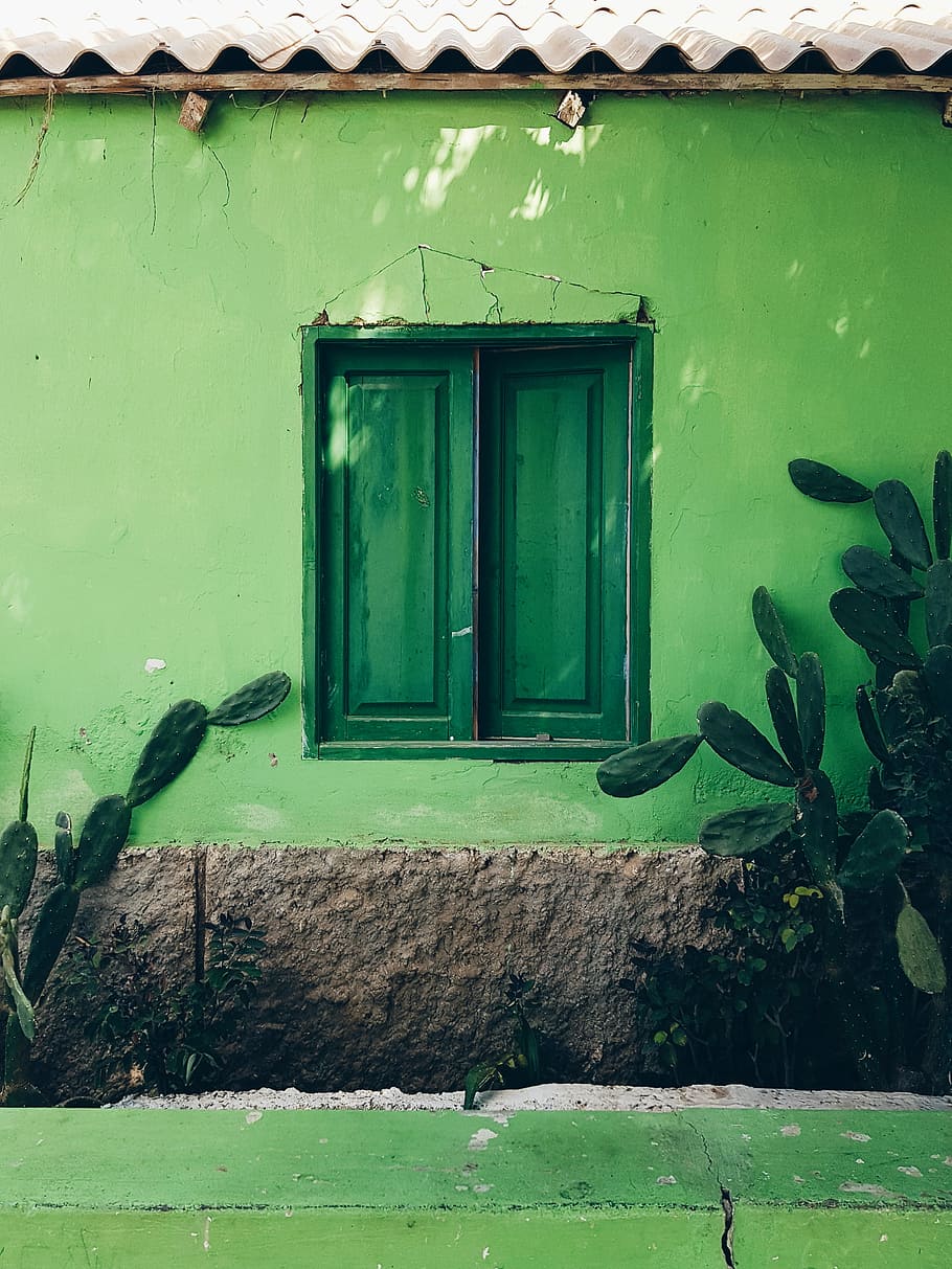 closed green wooden window, green window closed, wall, house HD wallpaper