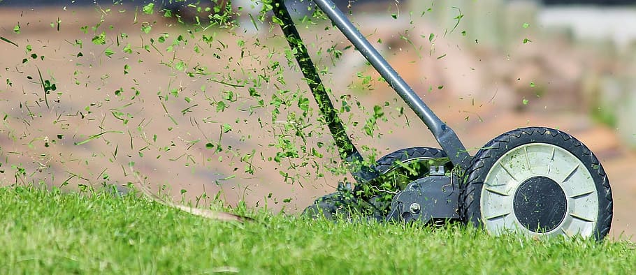 black mower trimming grasses, lawn mower, hand lawn mower, lawn mowing, HD wallpaper