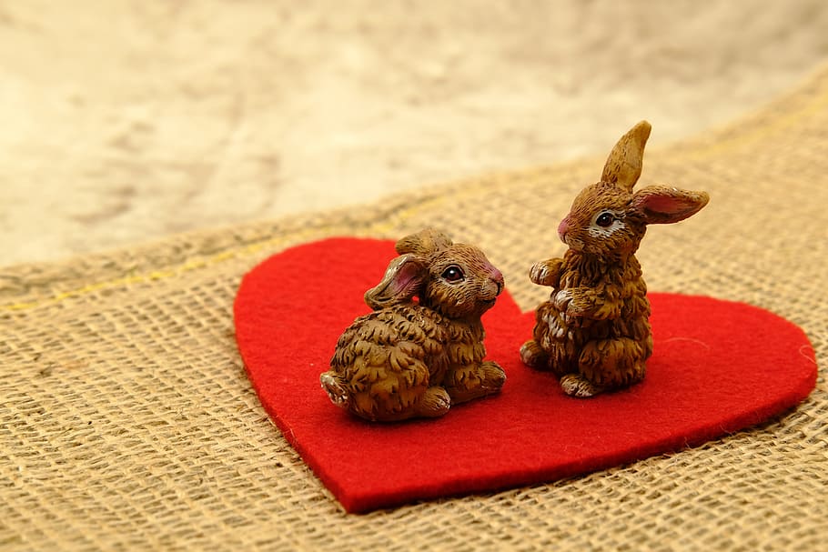 easter, easter bunny, easter celebration, love, heart, affection HD wallpaper