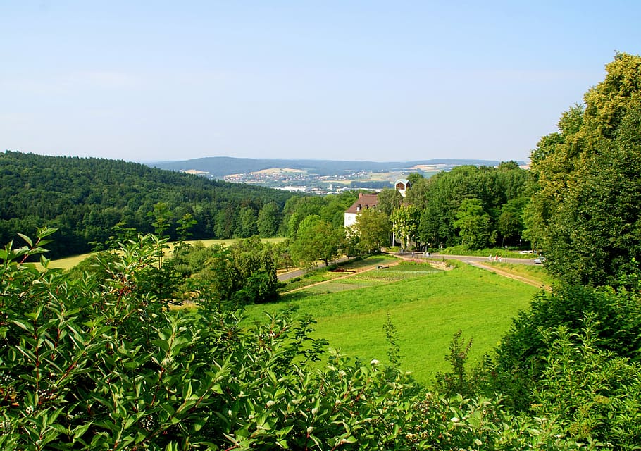 forest, eifel, meadow, landscape, green, wide, sky, blue, summer HD wallpaper