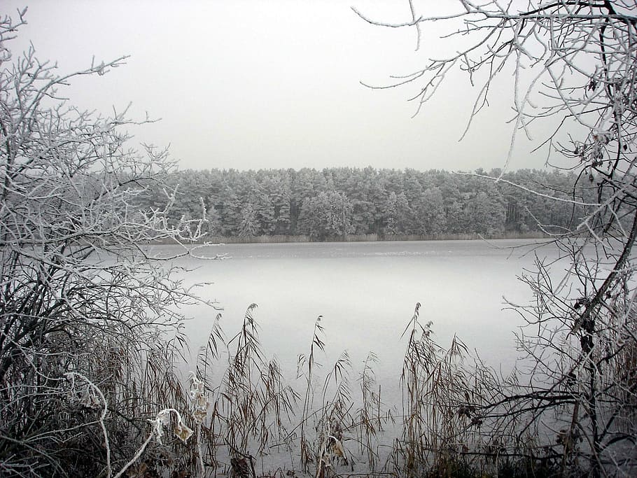 poland, forest, trees, woods, sky, clouds, river, water, frozen HD wallpaper