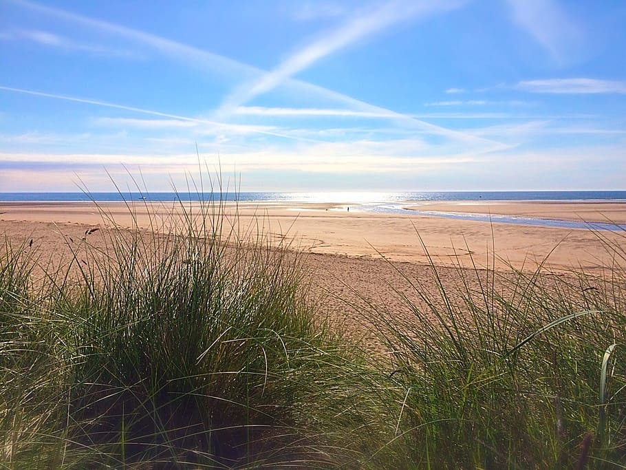 Alnmouth, Northumberland, Seaside, Beach, sunny day, grass, HD wallpaper