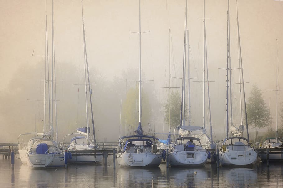 parked five white outboard boats, fog, landscape, nature, sun