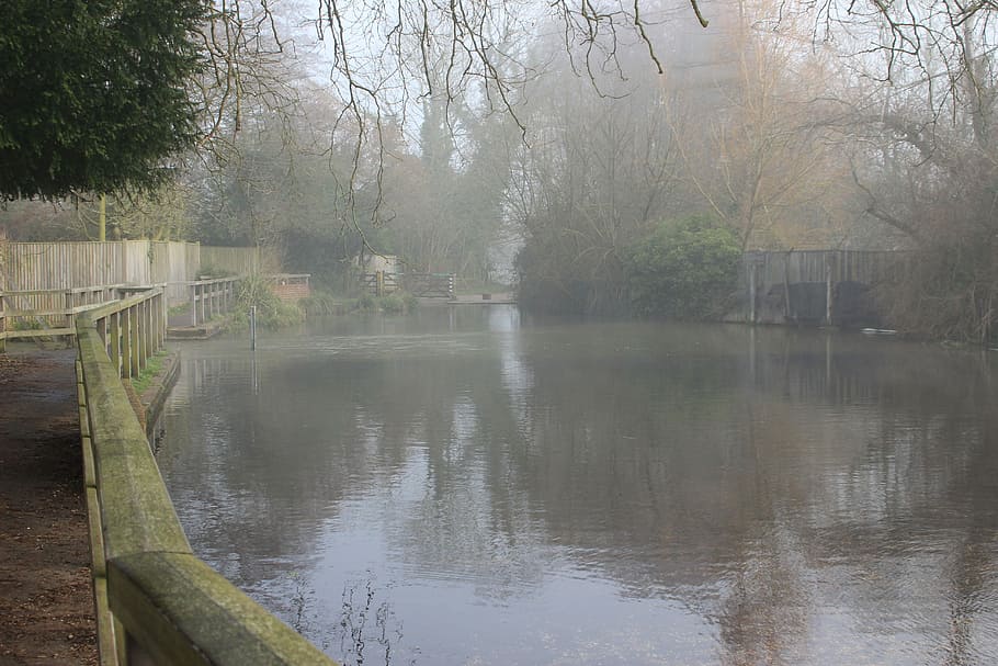 Ford, North, North Warnborough, Water, reflection, misty, nature HD wallpaper