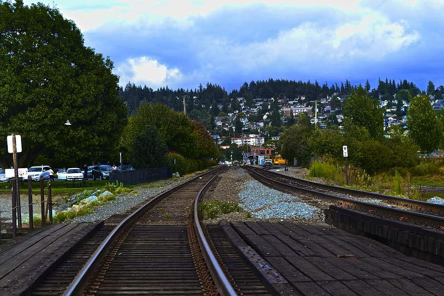train railroad, brown train track between green leafed trees HD wallpaper
