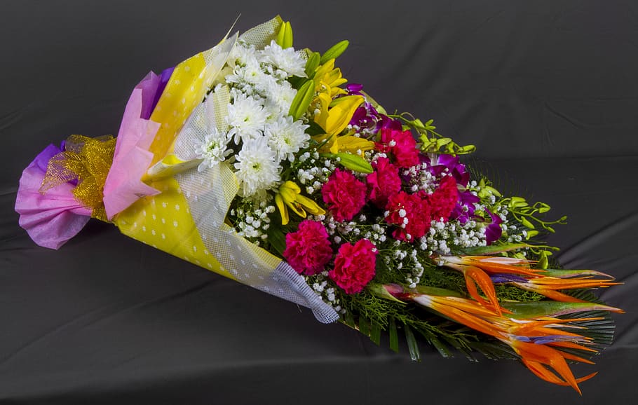 flowers, designs, arrangements, flowering plant, black background HD wallpaper