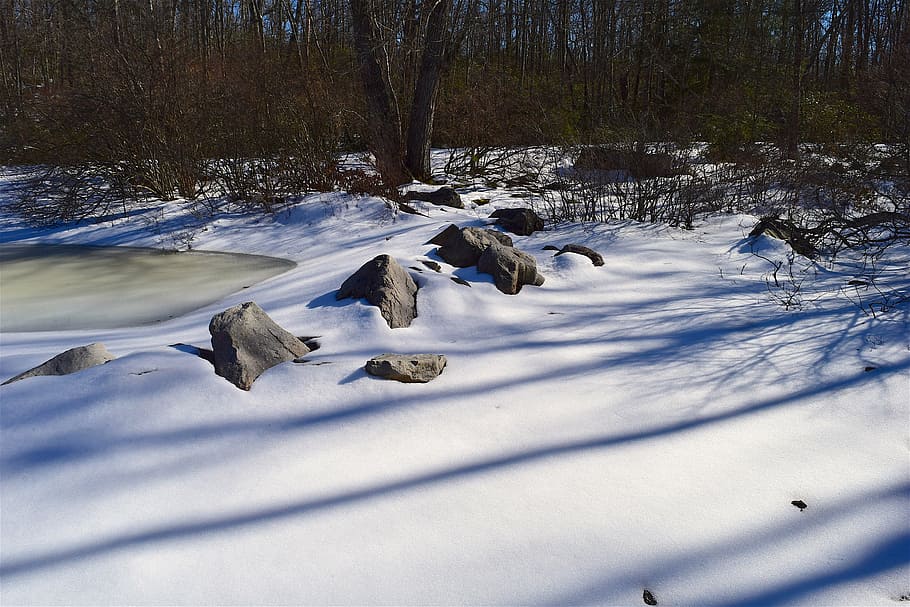 snow, shadow, rock, winter, white, nature, cold, season, frost HD wallpaper