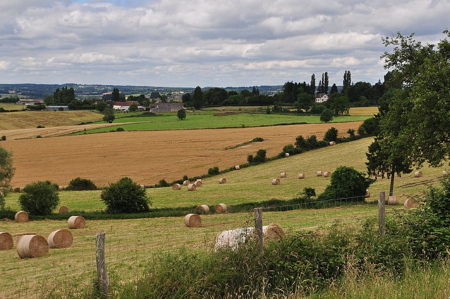 Country, Grass, Fields, Landscape, Farm, agriculture, countryside HD wallpaper