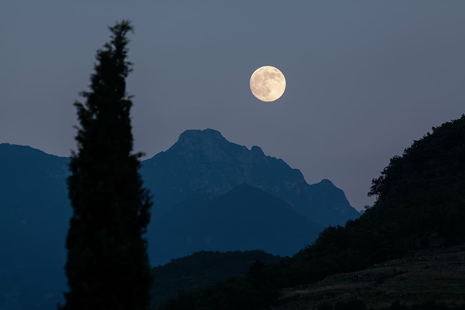 silhouette of pine tree under the moon, cypress, mountains, moonrise