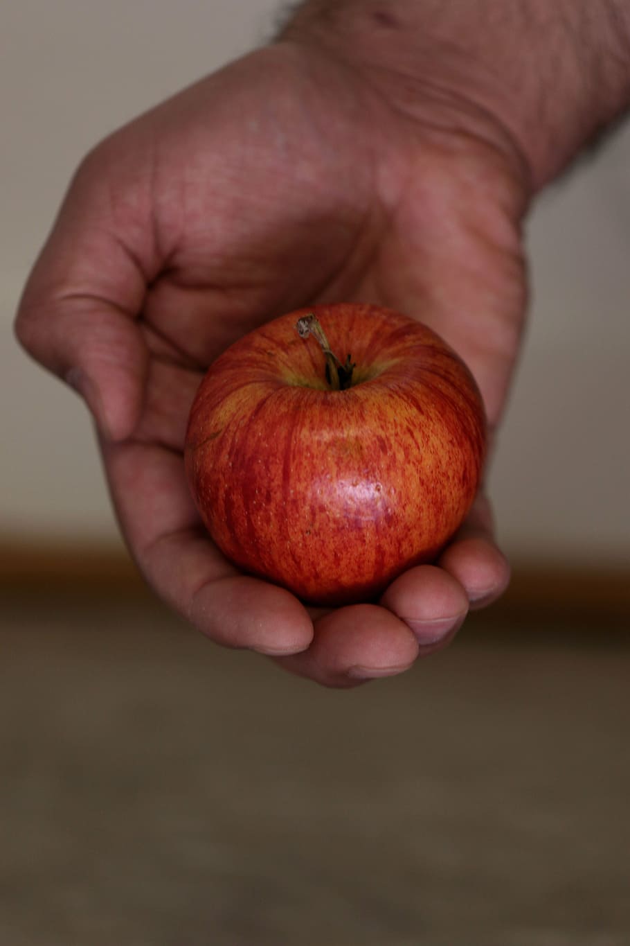 apple, fruit, red, healthy, hands, natural, human hand, food and drink HD wallpaper