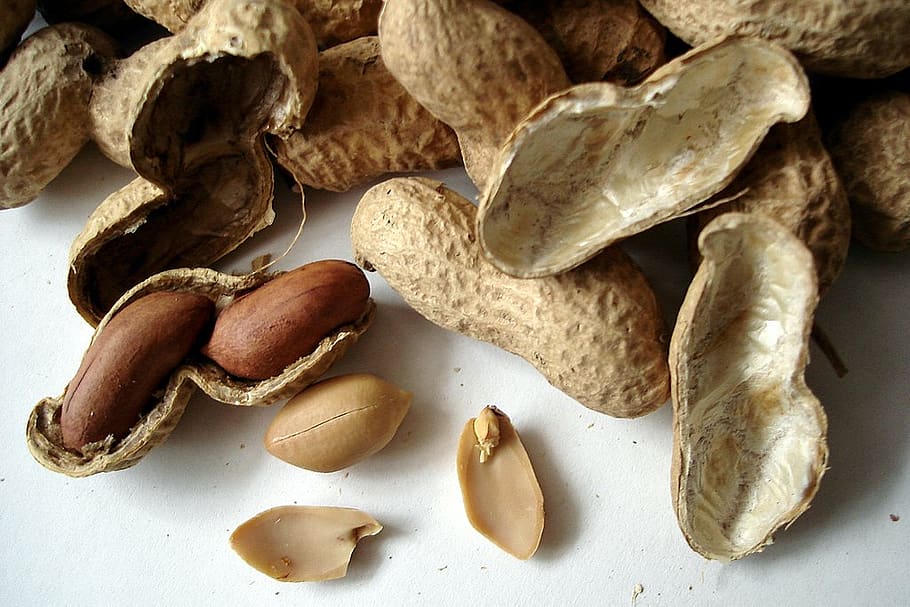 peanuts, cores, snack, food, food and drink, freshness, indoors HD wallpaper