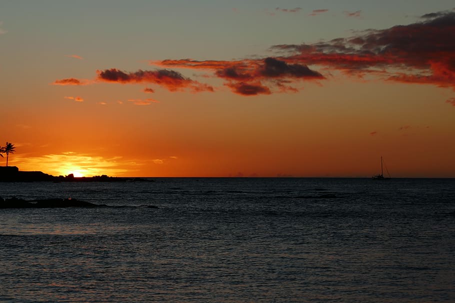 sunset, ocean, coast, orange, sunlight, sea, water, sky, nature HD wallpaper