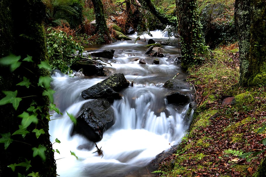 nature, winter, blackboard, forest, water, long exposure, flowing water HD wallpaper