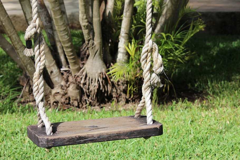 swing, mexico, yard, plant, growth, green color, wood - material HD wallpaper