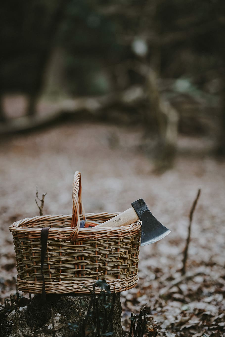 Axe & wicker picnic basket on a tree trunk, gray hatchet axe in picnic basket HD wallpaper