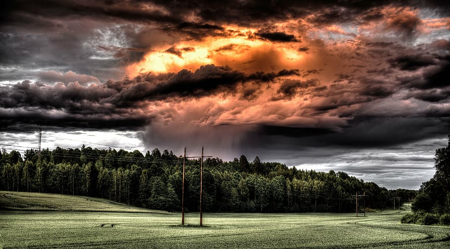 firestorm above green leaf trees photo, field, cloud, countryside HD wallpaper