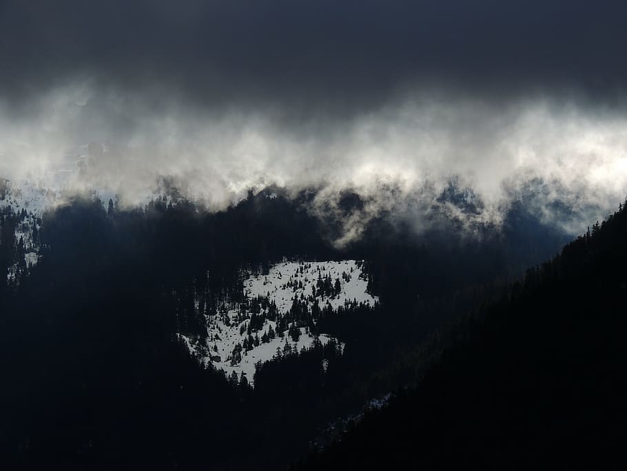 snowy mountain coated with fogs, landscape, peak, summit, trees HD wallpaper