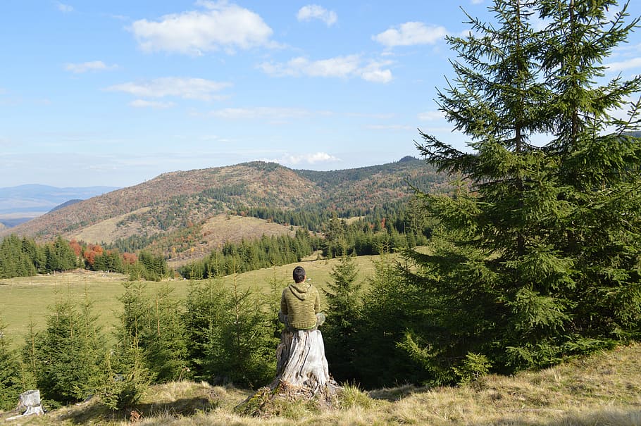 man sitting alone on tree stump facing green trees and mountain under clear blue cloudy sky, woman staring at the field during daytiem HD wallpaper
