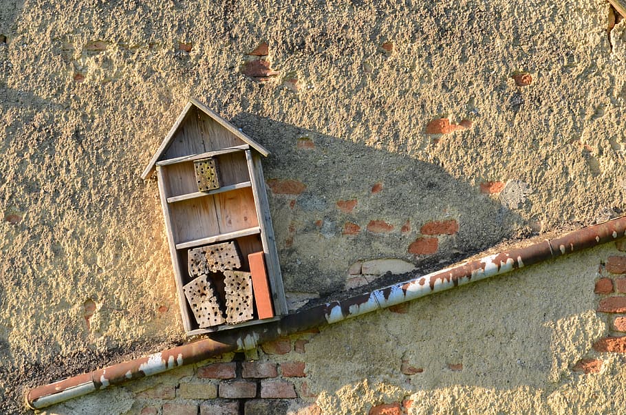 hotel, insect, building, wall, woods, built structure, architecture HD wallpaper