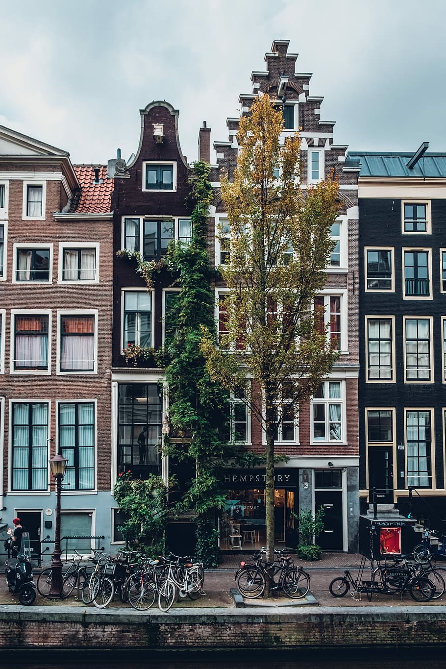 parked bicycles in front of establishment during daytime, building during daytime HD wallpaper