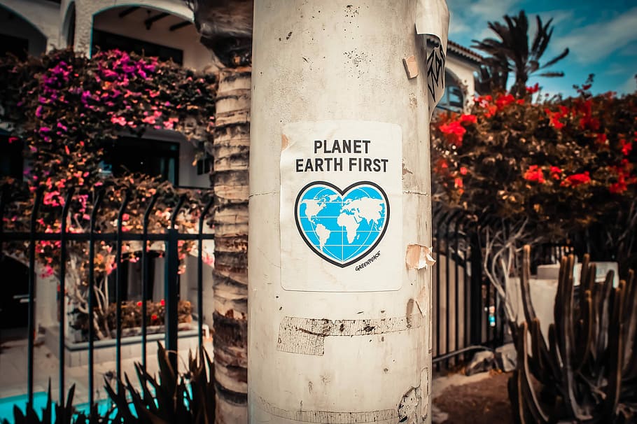Planet Earth First signage sticked in gray post outdoors, planet earth first poster on concrete post HD wallpaper