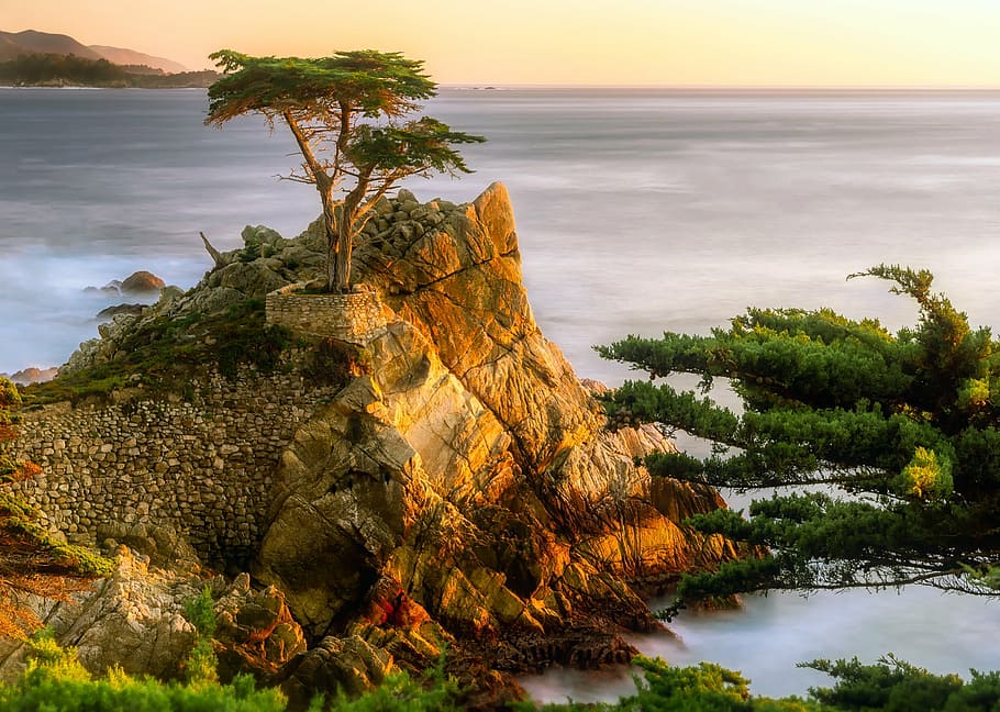 rock formation with trees near body of water during daytime, pebble beach, HD wallpaper