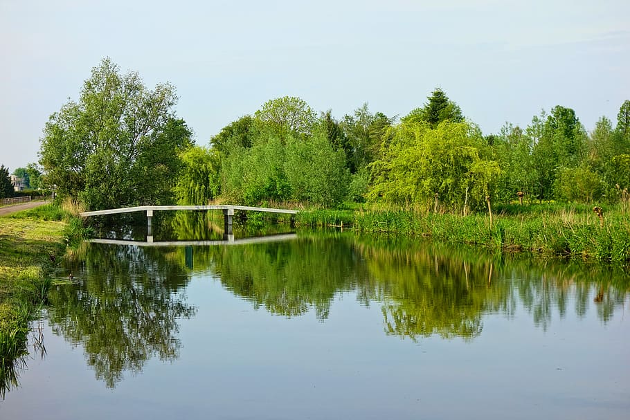 landscape photo of body of water with trees under blue sky HD wallpaper