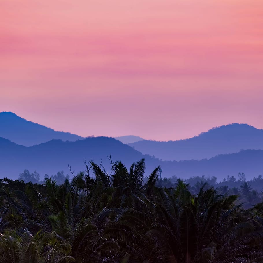 Sunset, Hill, Hill, Mountain, Landscape, sunset landscape, outdoor HD wallpaper