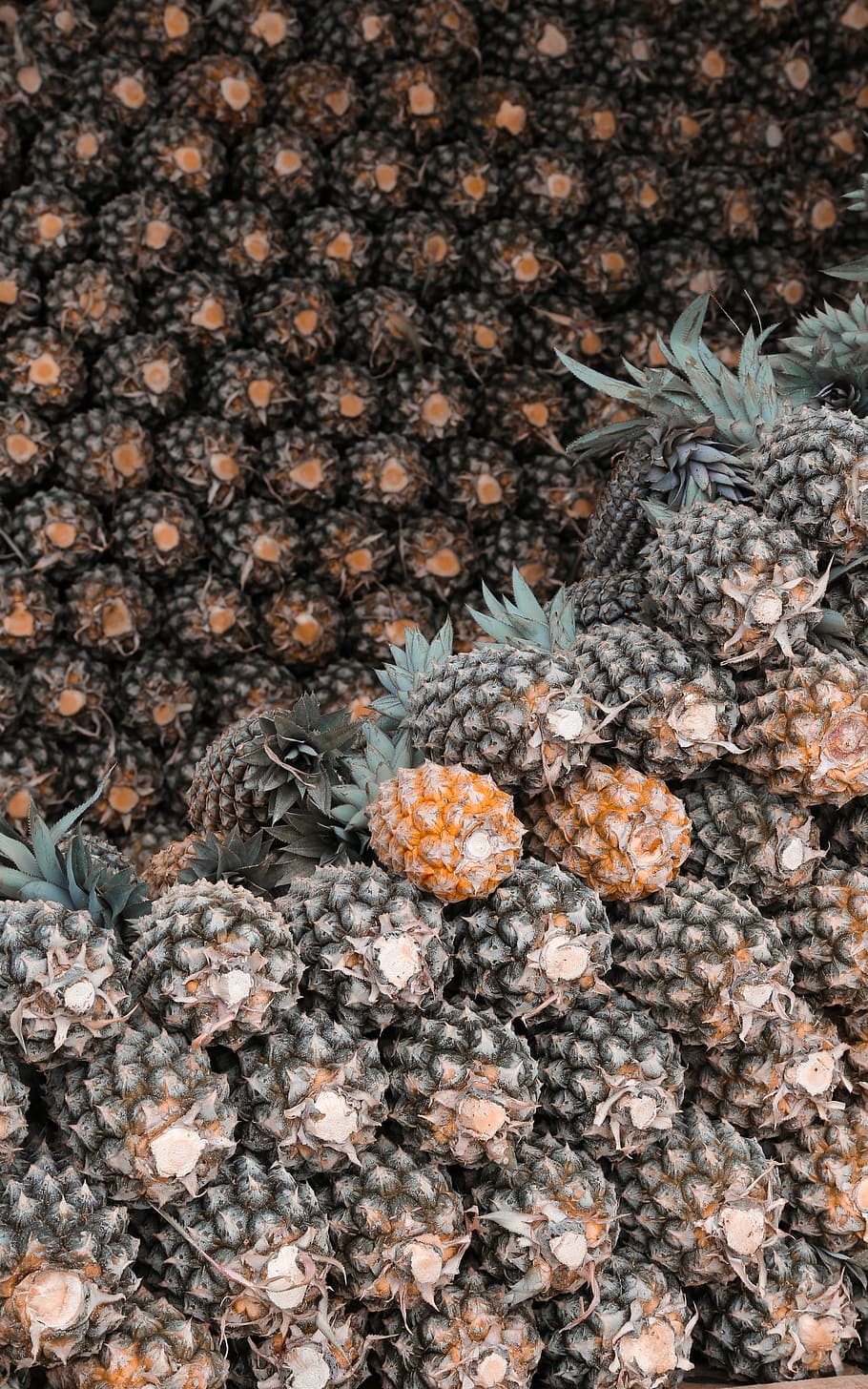 pineapple lot, fruit, pattern, organic, pile, backgrounds, full frame HD wallpaper