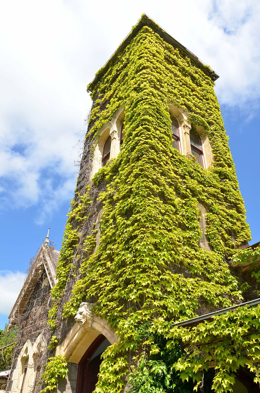 gothic, mansion, tower, architecture, old, history, travel HD wallpaper