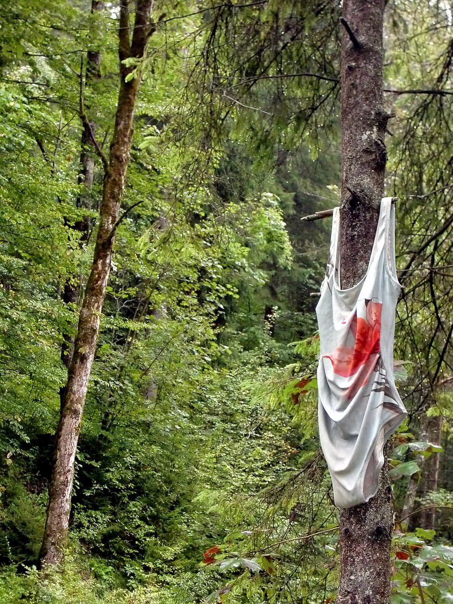 swimsuit, forest, artifact, style flat, tree, plant, trunk HD wallpaper