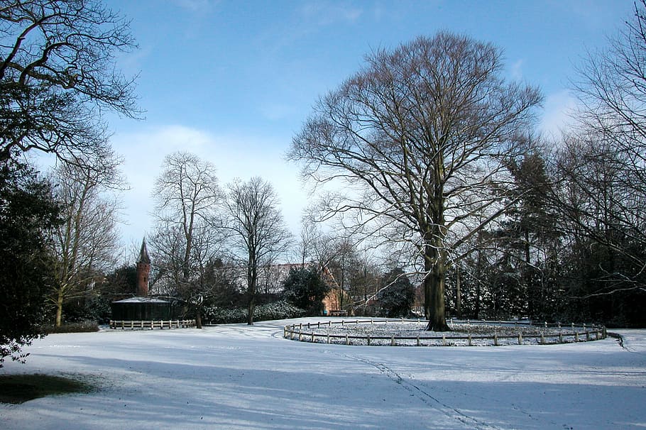 park, winter, trees, nature, landscape, cold, snow, blue sky HD wallpaper