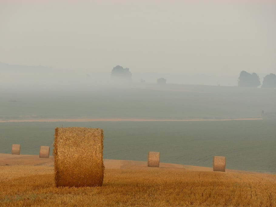 landscape photography of hay on brown grass field during day time HD wallpaper