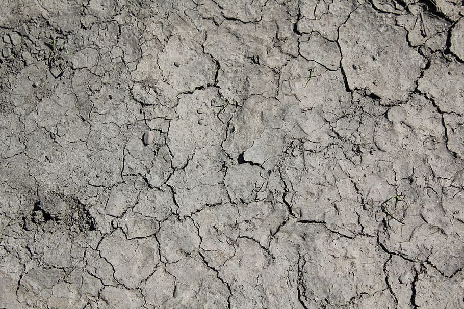 drought, wallpaper, surface, dry, earth, soil, dried up, gray HD wallpaper