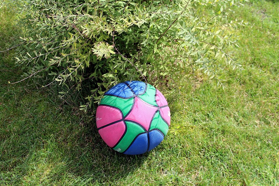 the ball, fun, holidays, rest, toys, summer, grass, green color HD wallpaper