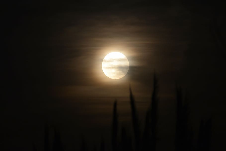 moon, night, night landscape, dark, nature, sky, sun, beauty in nature HD wallpaper