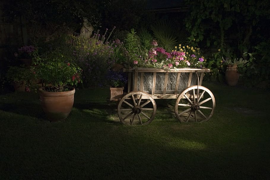 photo of ping petaled flowers, wagon, rustic, garden, nighttime HD wallpaper