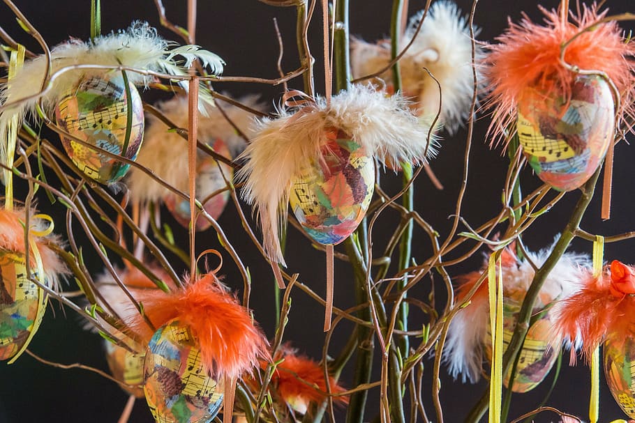 multicolored note print fur decors on twigs, easter, easter egg HD wallpaper