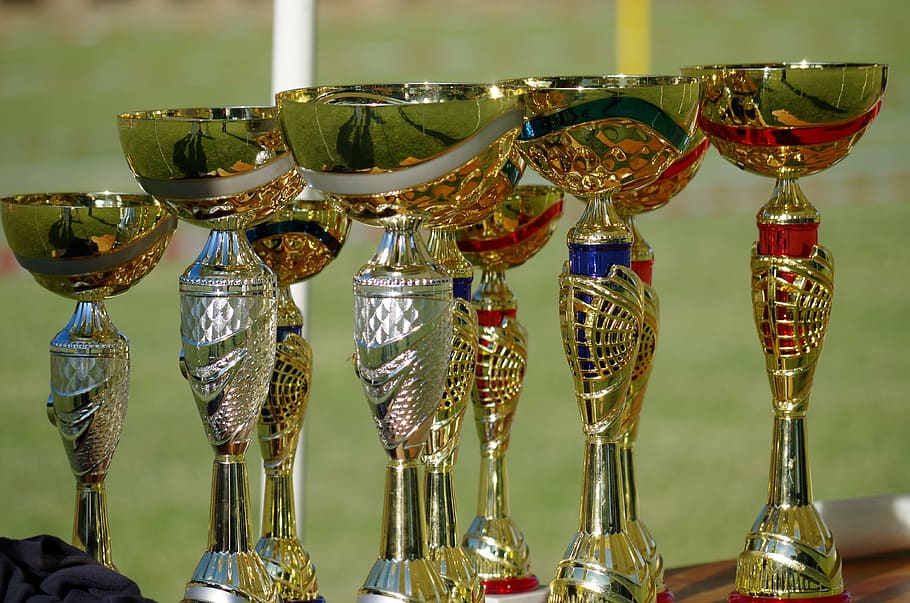 assorted-color trophys, win, cup, competition, place, reward HD wallpaper