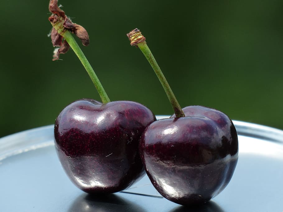 two purple fruits, Cherries, Sweet, red, ripe, over ripe, sweet cherries HD wallpaper