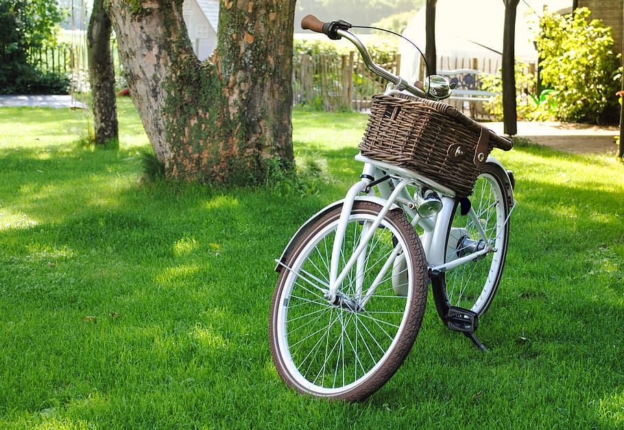 Garden bicycle 1080P, 2K, 4K, 5K HD wallpapers free download | Wallpaper  Flare