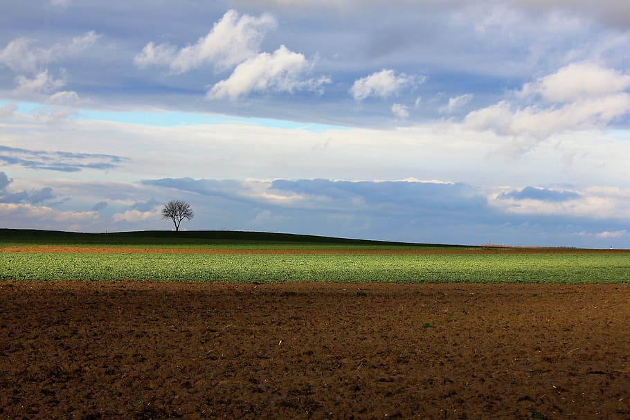 spring, clouds, agriculture, sky, landscape, panoramic, nature HD wallpaper