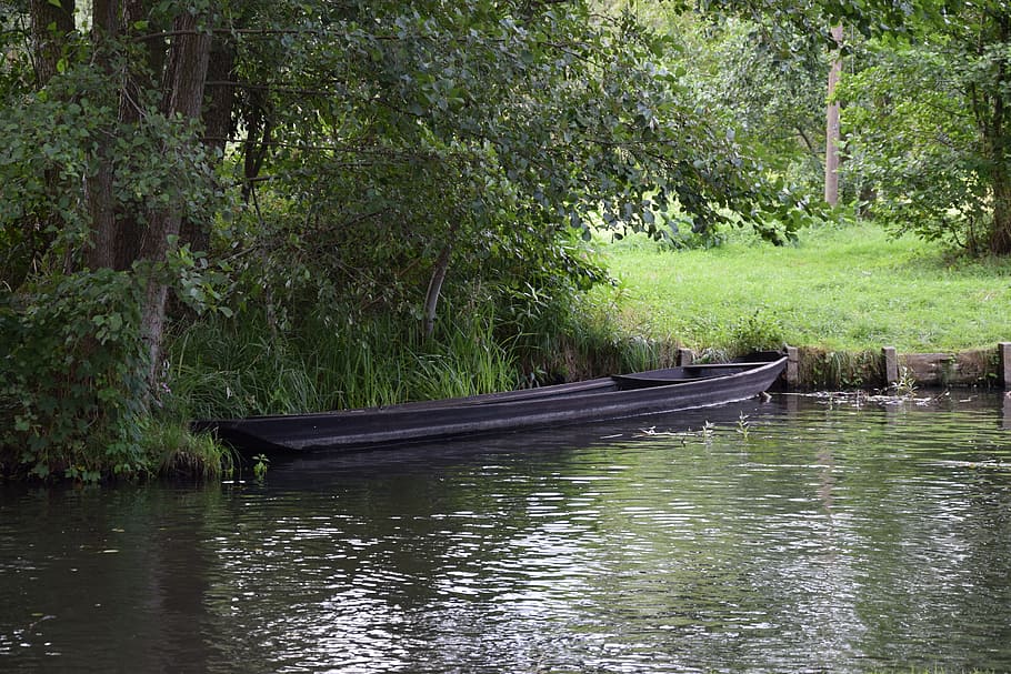boot, forest, tree, water, landscape, nature, lake, ship, river HD wallpaper
