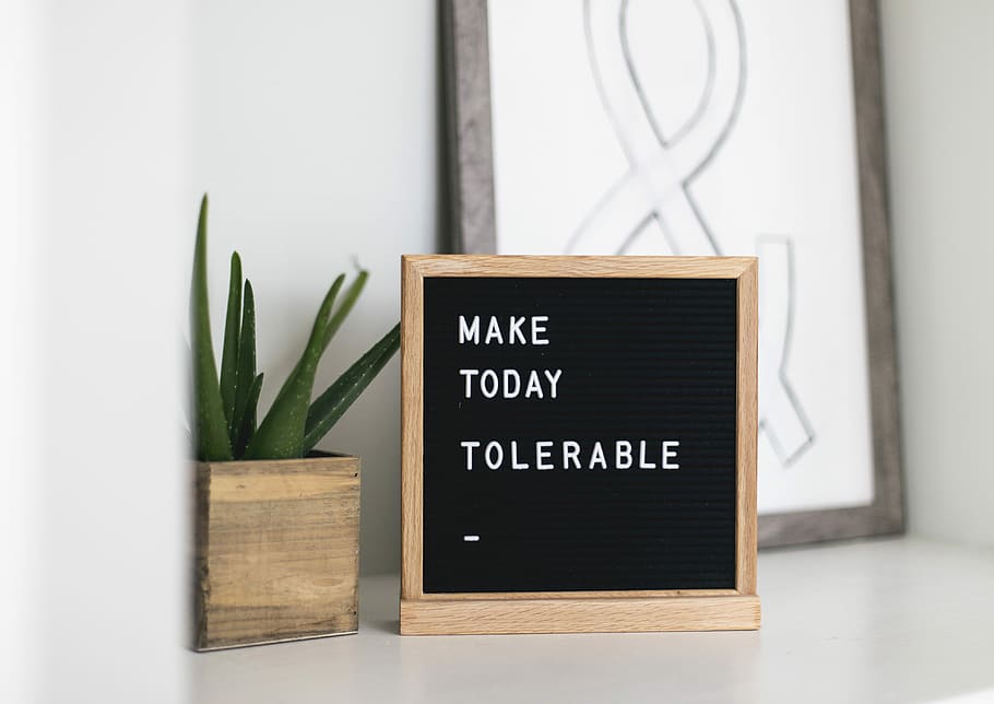 brown wooden photo frame, make today tolerable tabletop decor beside Aloe vera plant HD wallpaper
