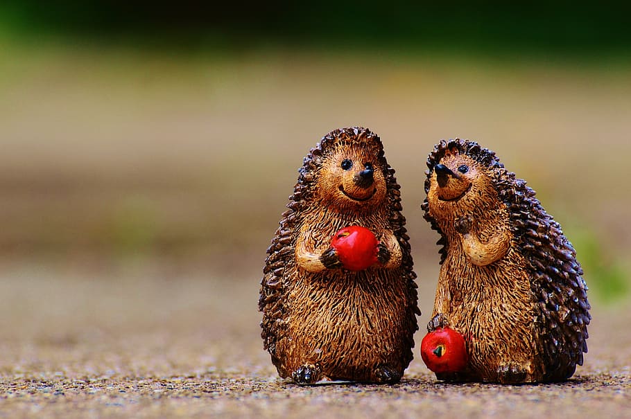 hedgehog, figures, funny, cute, sweet, pair, apple, decoration HD wallpaper