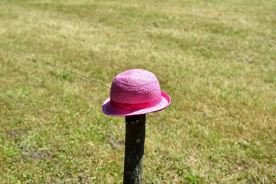 hat, meadow, wood pile, pink, leave, lonely, red, grass, summer, HD wallpaper